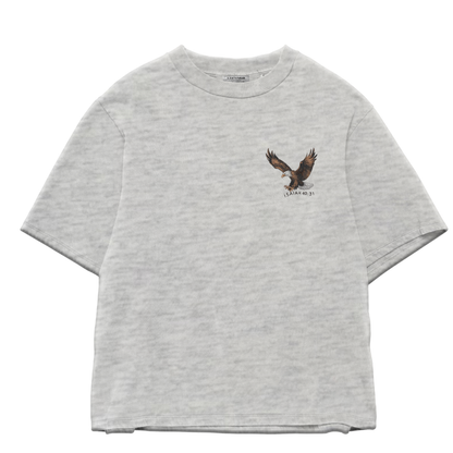 SOAR ON WINGS LIKE EAGLES - CHRISTIAN T-SHIRT (ASH GREY)